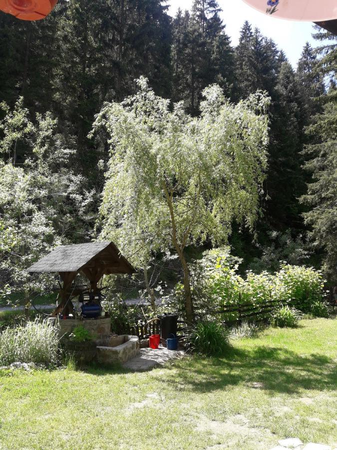 Sastanci-Grahovaca Villa Rozhajë Екстериор снимка